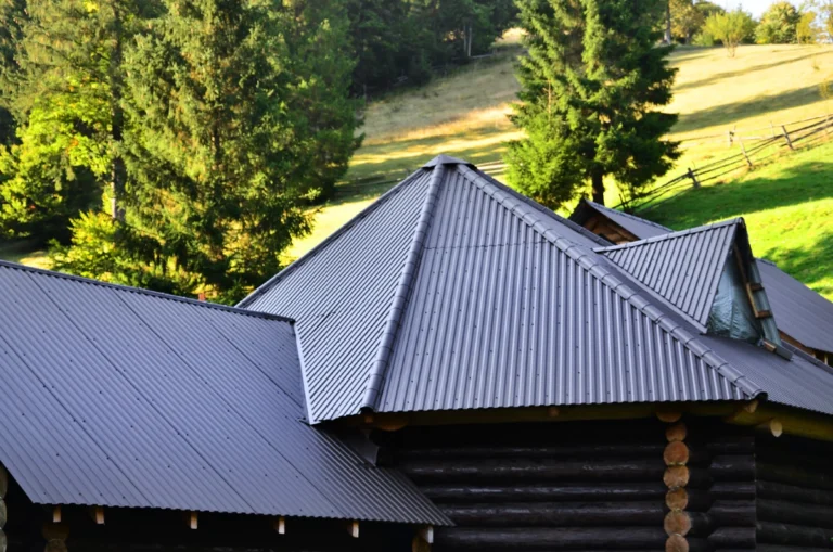 how to clean a metal roof keeping rooftop clean