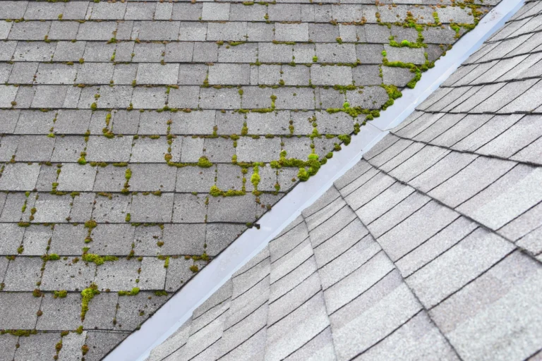 black-streaks-and-algae-growth-on-roof-shingles