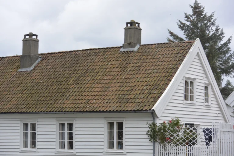 black-streaks-on-tile-roof