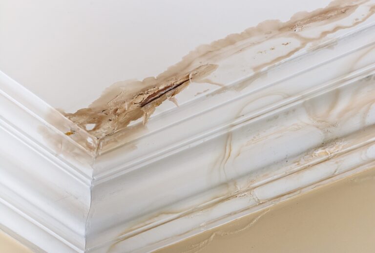 roof leak repair