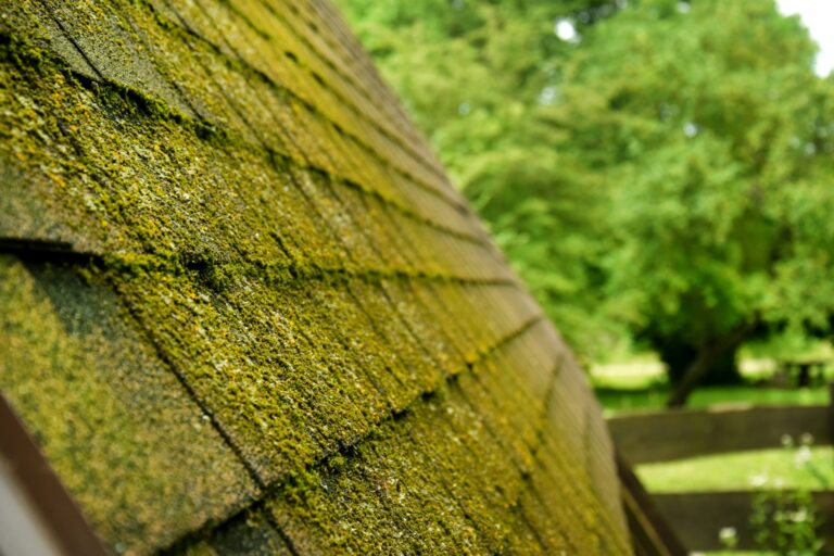 moss covering entire side of roof, wondering best time of year to remove moss from your roof