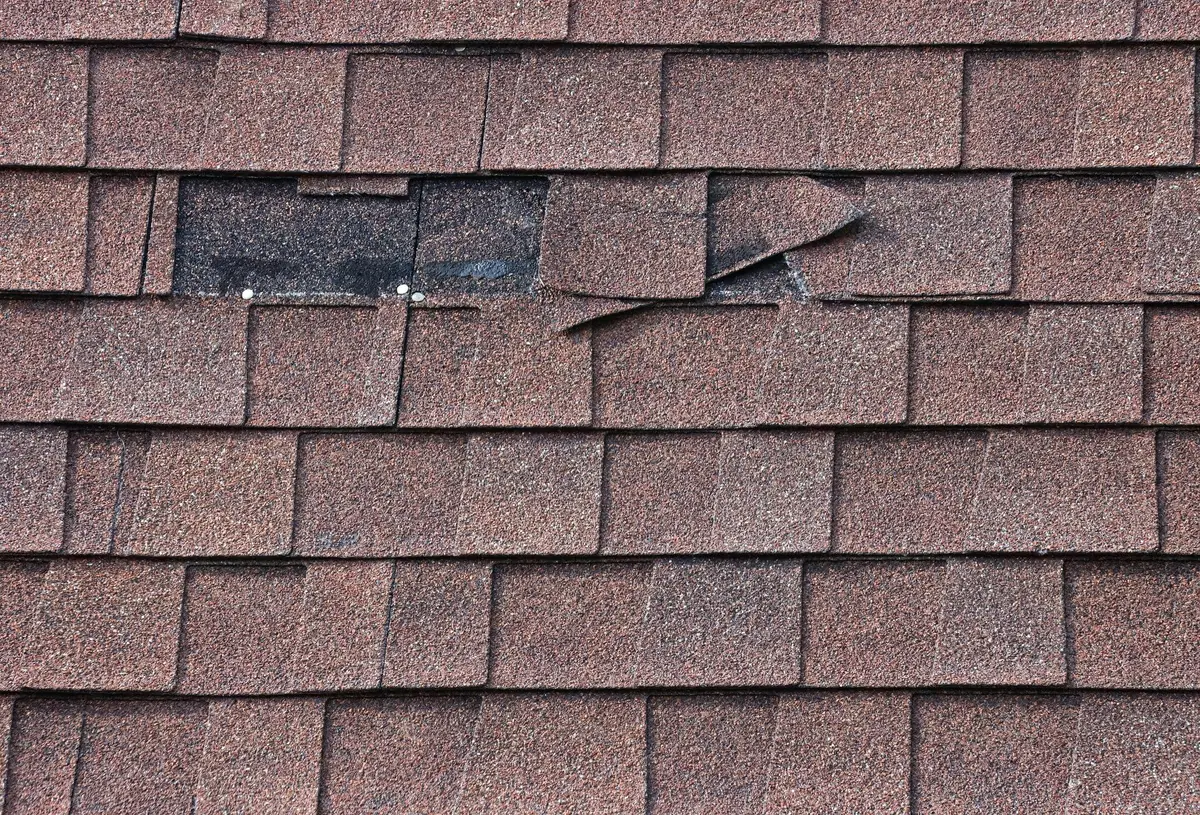 Several brown roof shingles are damaged and lifted, exposing the black underlayment and silver nails underneath. If you're wondering how to replace missing shingles, inspect the area closely while surrounding shingles remain intact.