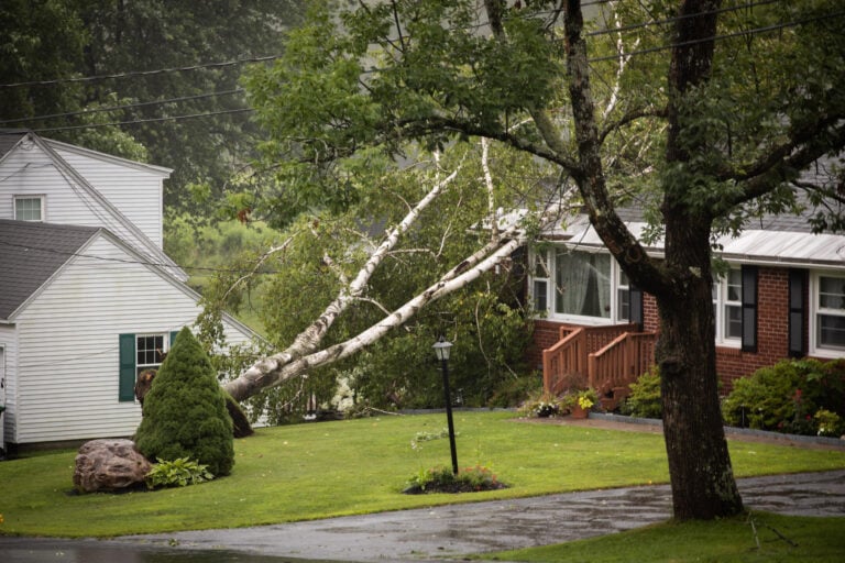 storm damage cleanup-distant view of fallen tree on house from a storm
