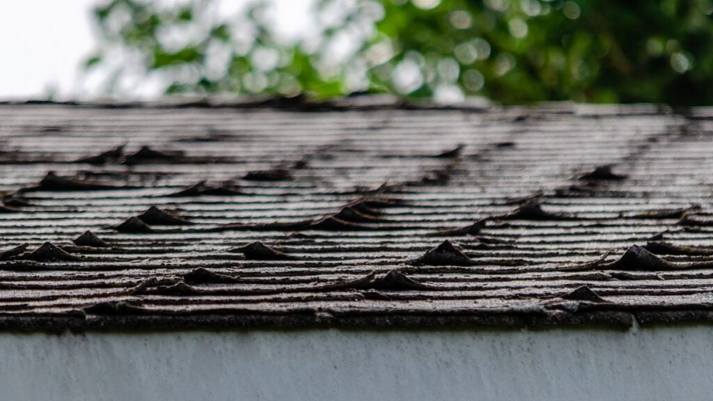 Close-up of a roof where old, warped shingles are uneven and show signs of wear and damage, similar to how new roof shingles not laying flat might appear; blurred green foliage is visible in the background.