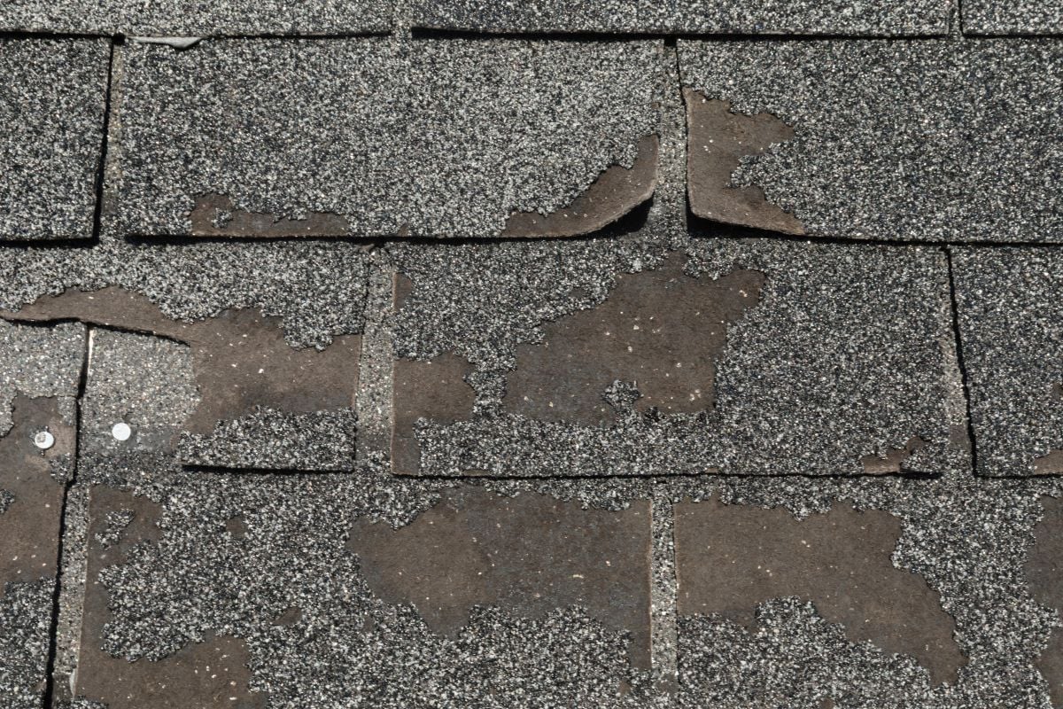 Close-up of weathered, damaged roof shingles with missing roofing granules, curled edges, and exposed nails, indicating significant wear and potential need for repair or replacement.