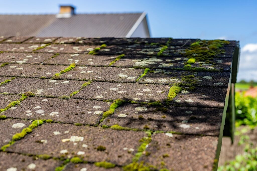 Close-up of a sloped roof with brown shingles and patches of moss on roof, along with lichen growing on the surface. A clear blue sky and a blurred house appear in the background.
