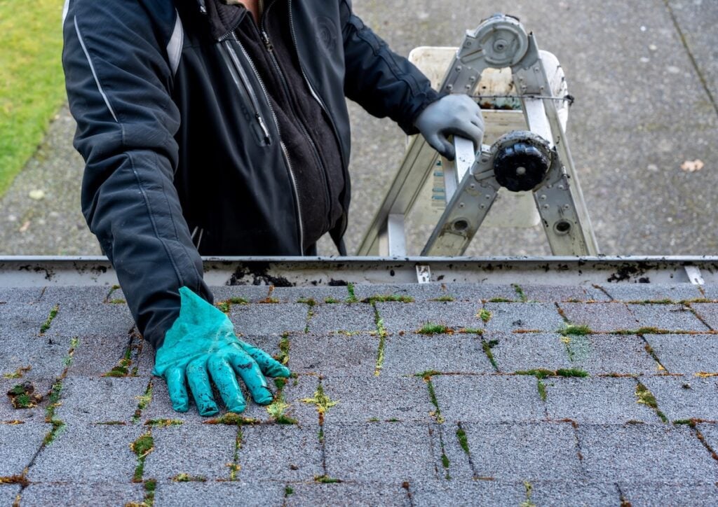 A person wearing gloves and a jacket is standing on a ladder, clearing moss on roof shingles and debris near a gutter. The scene is viewed from above.