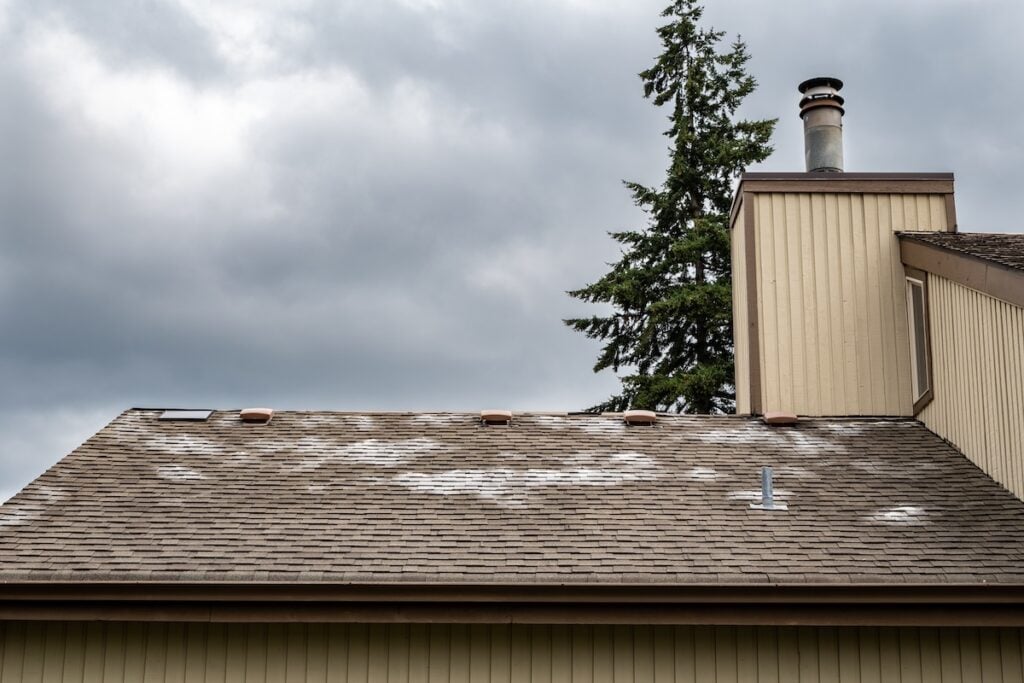 A sloped brown roof with visible patches of discoloration and missing roofing granules, attached to a beige house with a vertical chimney. A tall evergreen tree and a cloudy sky serve as the backdrop.