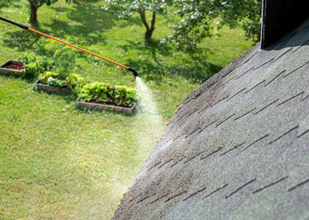 A person sprays cleaning solution from a long wand onto a gray shingled roof to treat moss on roof, with green grass and garden beds visible in the background.