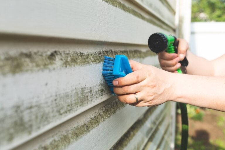 A person demonstrates how to clean vinyl siding by scrubbing green mold off white panels with a blue brush while using a garden hose and spray nozzle in the other hand.