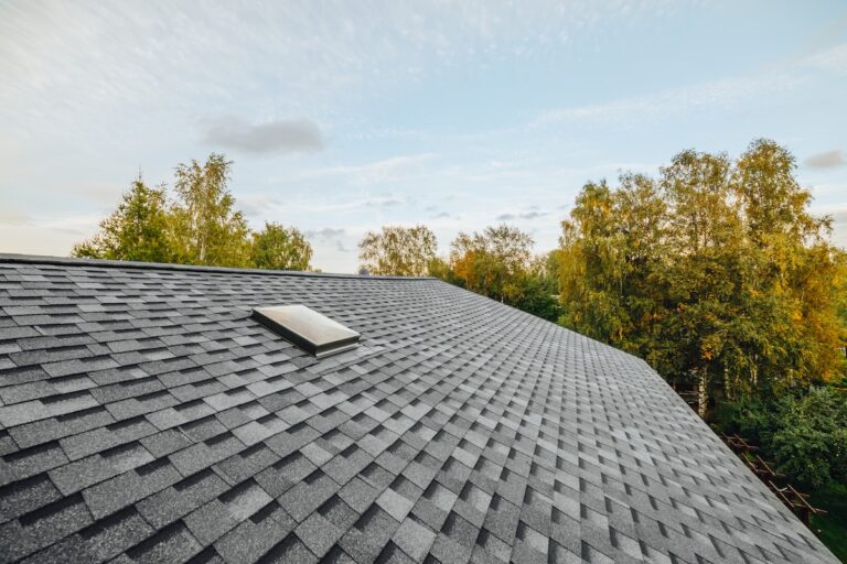 Gray asphalt shingle roof with a small skylight, surrounded by green and yellow trees under a partly cloudy sky.