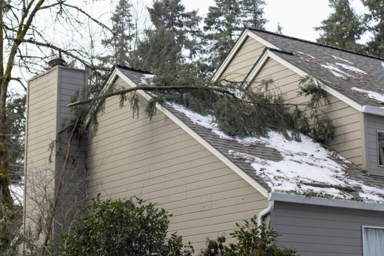 winter roof replacement Virginia A large tree branch has fallen onto the snow-covered roof of a beige house, damaging the shingles. Pines and evergreen trees are visible in the background.