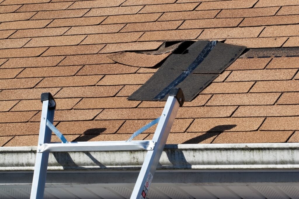 Repair Or Replace Roof Alexandria VA A close-up of a house roof with damaged shingles near the edge, above a rain gutter. A ladder is positioned against the house, indicating roof repair work is needed.