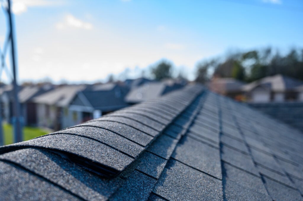 Roof Lifespan Alexandria VA Close-up view of gray asphalt shingles on a rooftop with a suburban neighborhood and several houses visible in the blurred background under a blue sky.