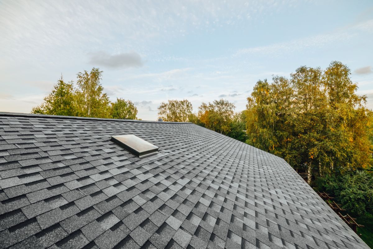A close-up view of a gray shingled rooftop with a skylight, surrounded by tall green trees under a blue sky with scattered clouds.