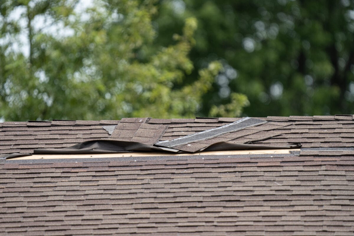 Close-up of a house roof with several damaged and lifted shingles, exposing the underlying roofing materials—an issue homeowners may face that requires expert roofing Arlington VA services. Green, blurred trees are visible in the background.