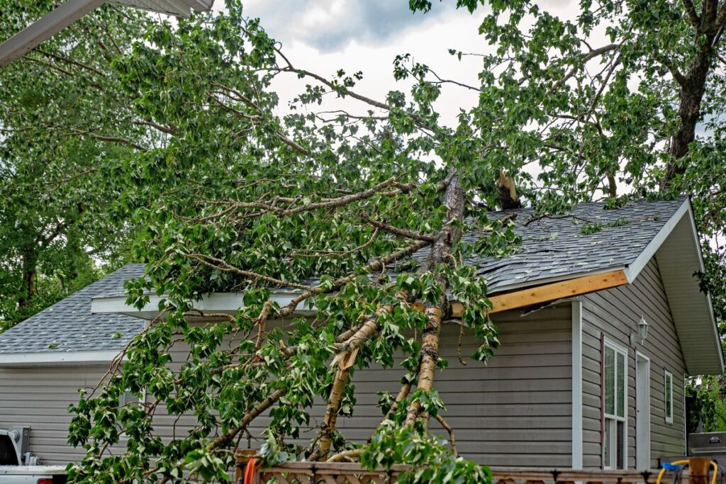 A large tree branch has fallen onto the roof of a gray house, causing visible damage. The house is surrounded by greenery, and the sky is partly cloudy—an urgent situation for roofing Vienna VA experts to handle.