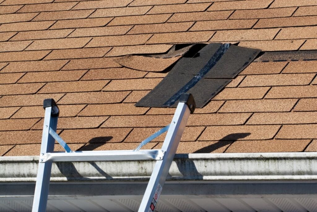 A ladder leans against a house gutter, reaching a roof with several shingles lifted and damaged, exposing the black underlayment beneath.