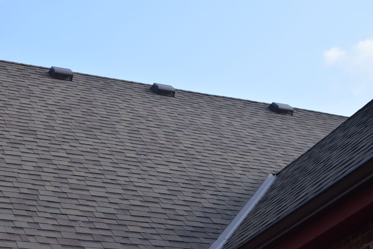 A close-up view of a house roof with gray asphalt shingles, several black roof vents, and a blue sky in the background.