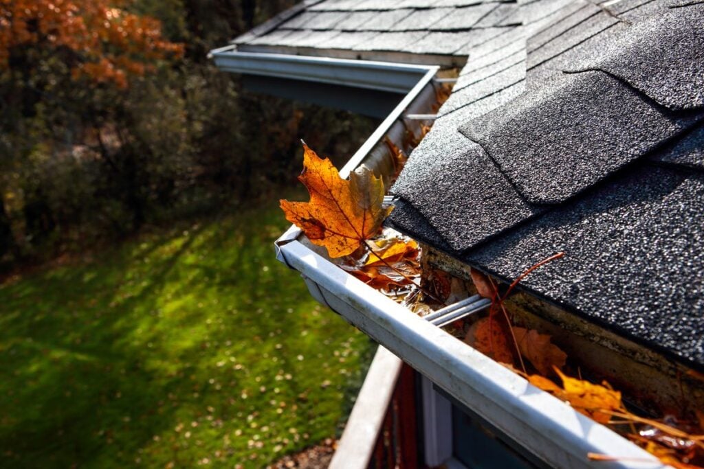 Close-up of a house roof gutter filled with autumn leaves, with sunlight shining on the shingles and a grassy yard visible below in the background.