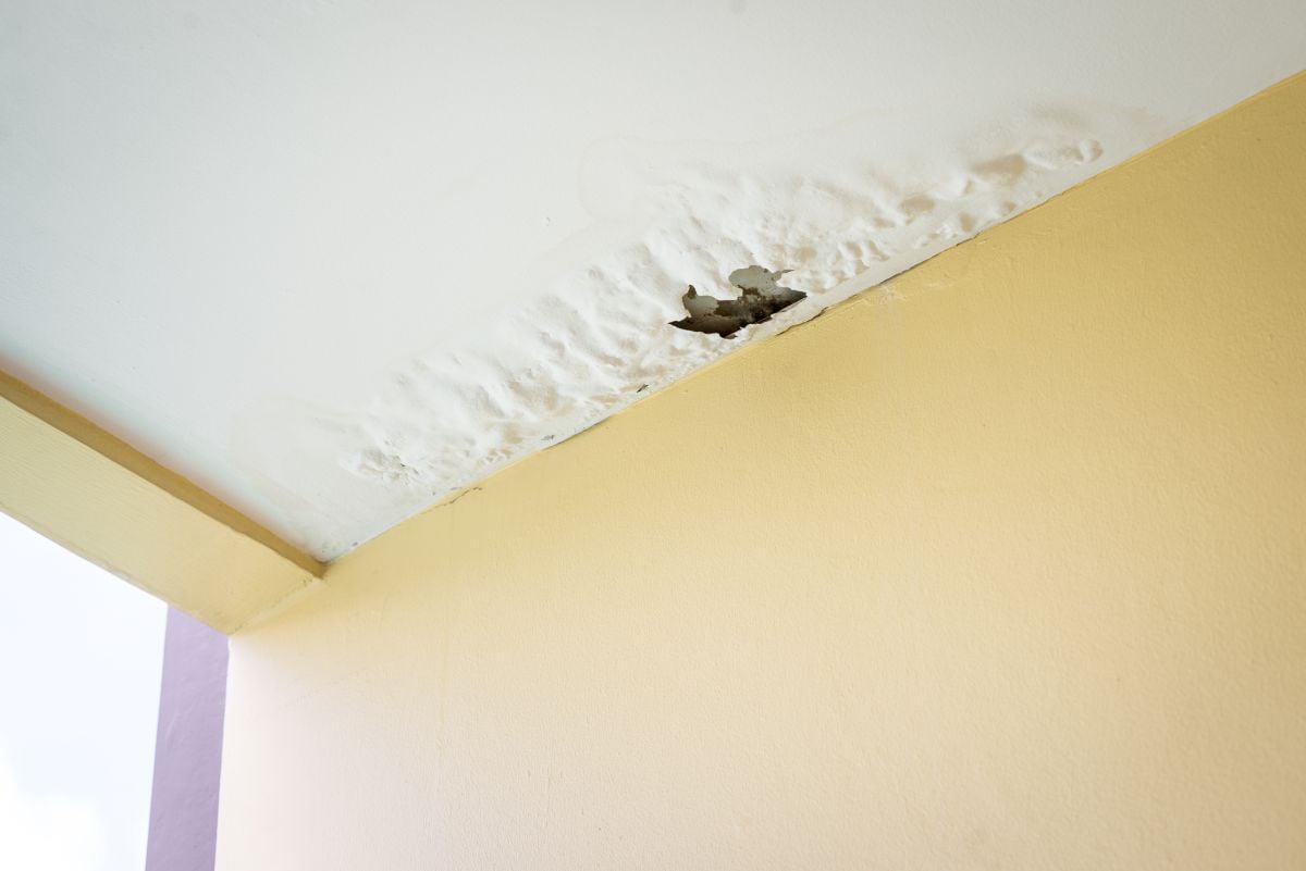 A ceiling with peeling paint and a hole, showing water damage near the corner where the ceiling meets the yellow wall.