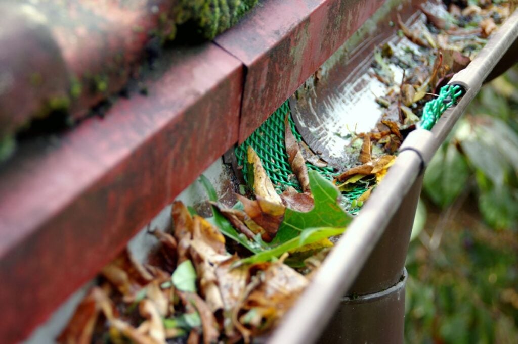 Close-up of a roof gutter filled with leaves and debris, partially covered by a green mesh guard. The gutter is attached to a weathered roof edge.