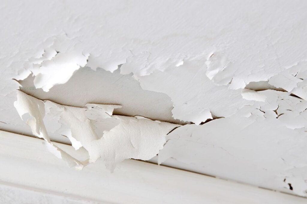 White paint peeling and flaking off a ceiling.