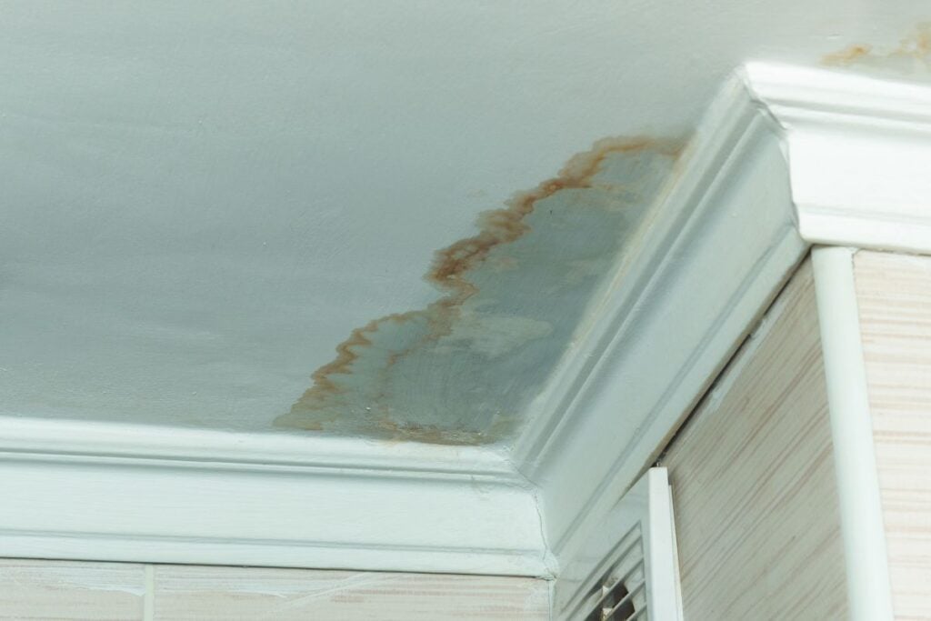A large brown water stain on a painted ceiling near crown molding.