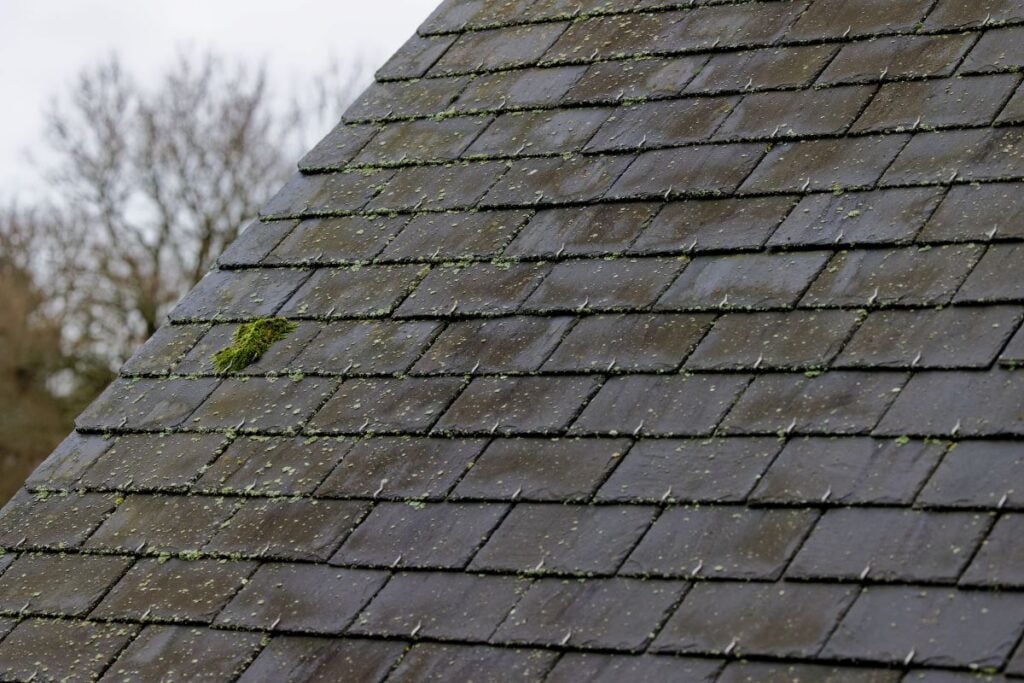 Close-up of a weathered, dark grey slate roof with patches of moss and lichen.