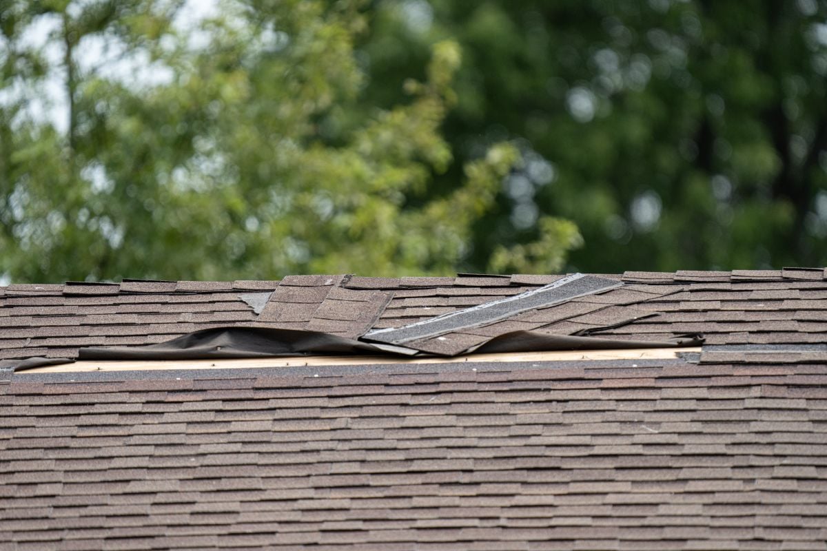A damaged roof with missing shingles and exposed underlayment.
